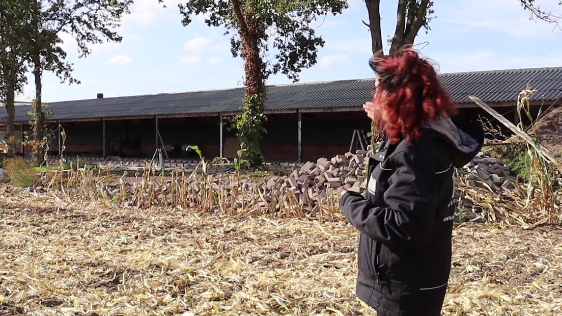 Bij Oost | Vandaag