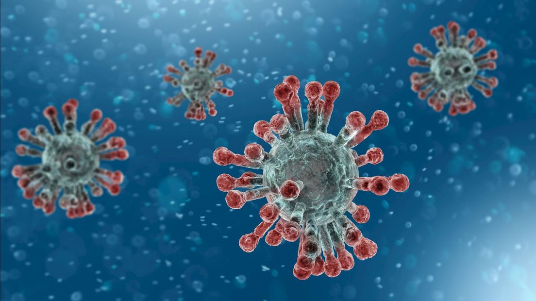 Coronavirus