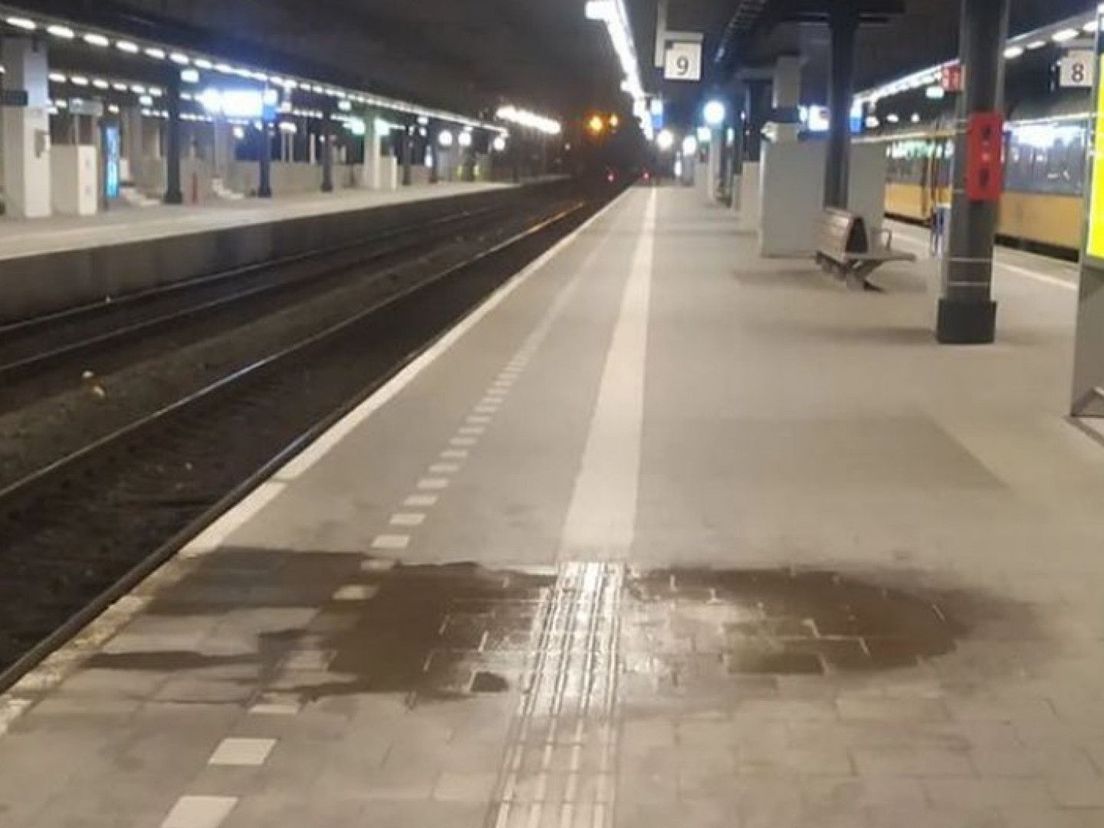 850 volgers voor vieze vlek op Den Haag Centraal: 'Het is wel een rol gaan spelen in mijn leven'