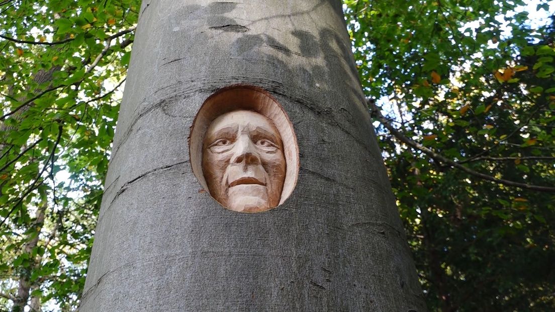 De boom zal het portret uiteindelijk in zich opnemen.