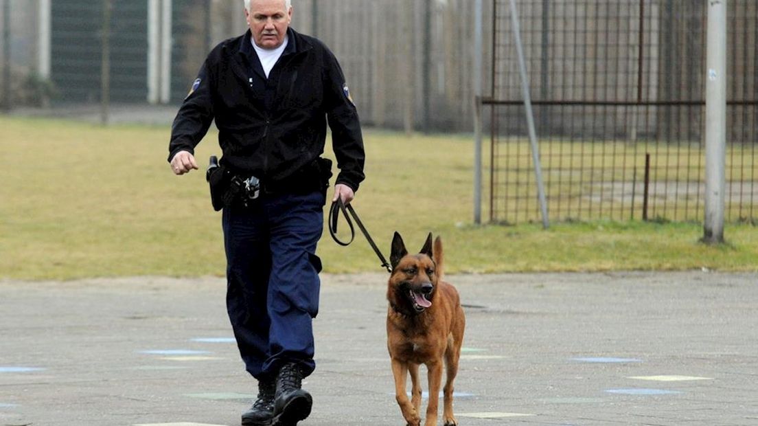 Politiehond spoort inbreker op