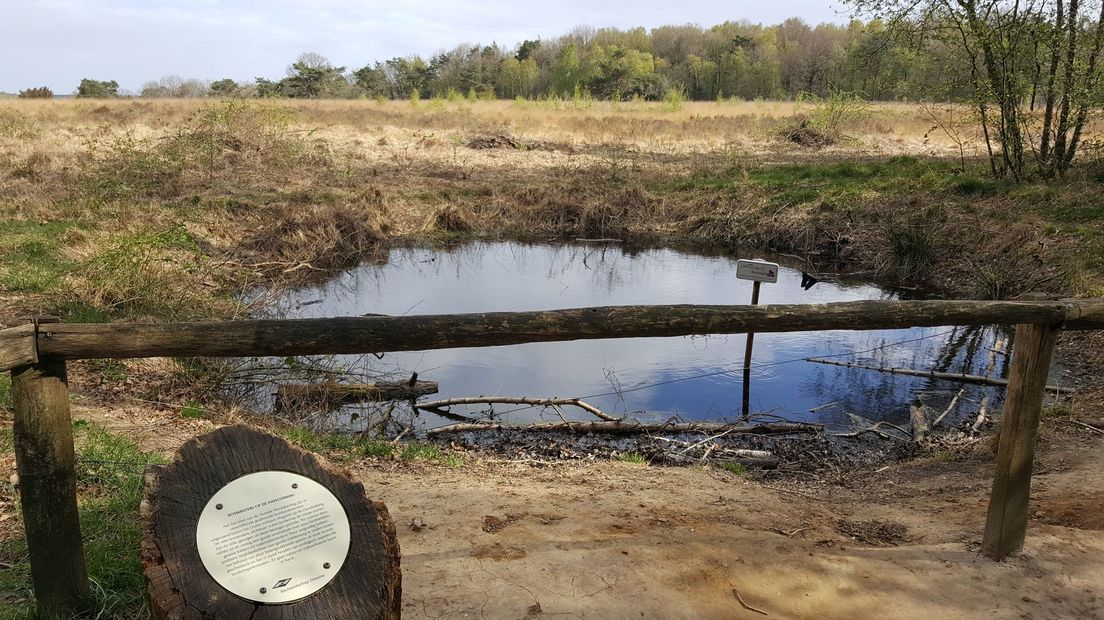 Bomkrater op het Holtingerveld