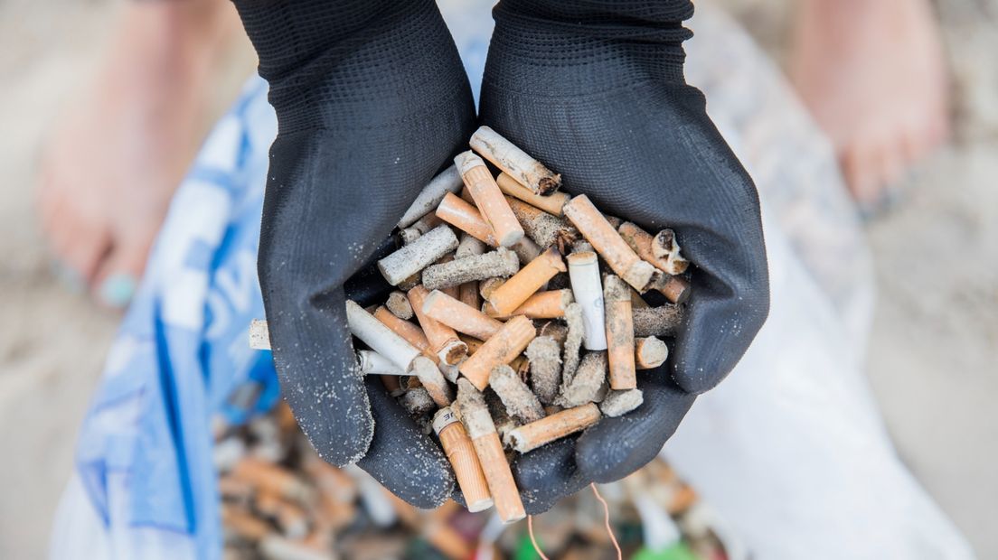 Een vrijwilliger laat een deel van de opgeruimde peuken langs de Noordzeekust zien