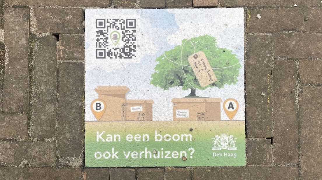 Met QR-codes kan je meer te weten over de verrassende natuur in Den Haag
