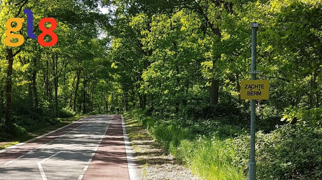 Het werk van de bordendief in Overasselt