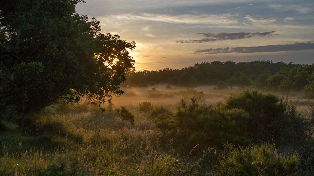 Zonsopkomst in het natuurgebied bij Haamstede.