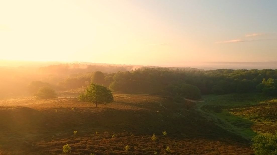 Een ander mooi plaatje van het natuurgebied