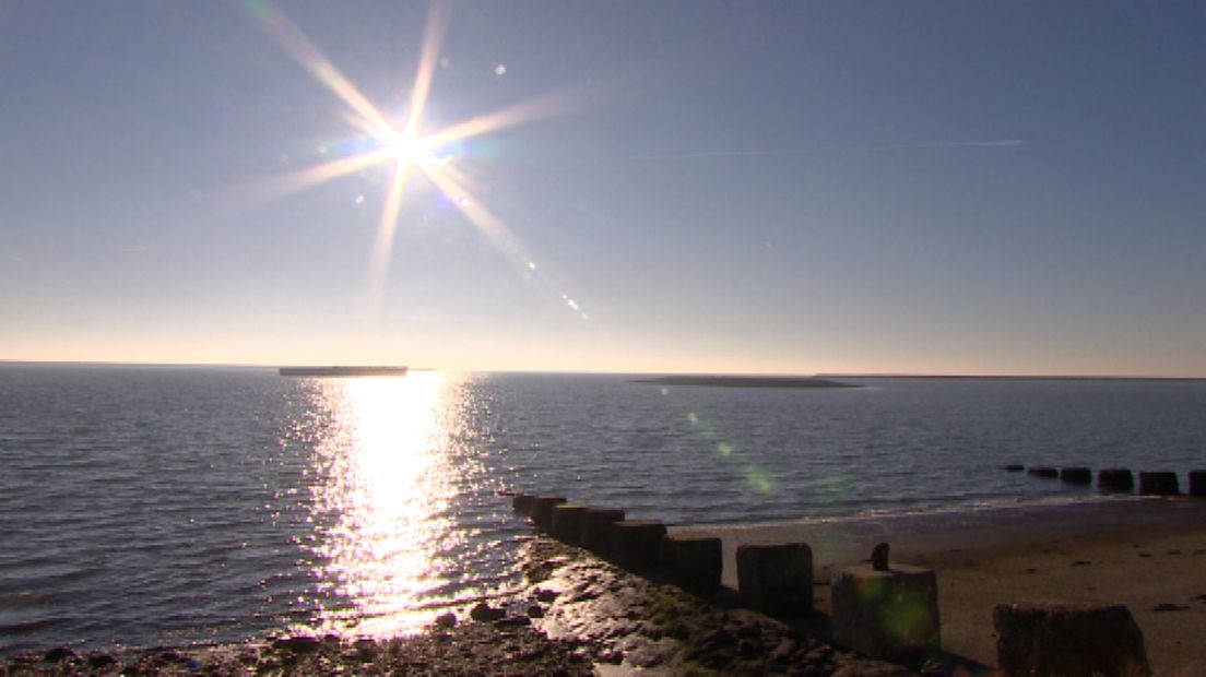 Broedeiland voor visdieven in Schelphoek (S-D) geopend (video)