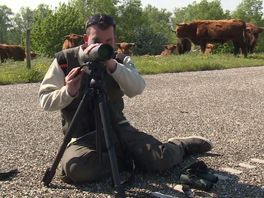 Op pad met boswachter Thomas - Hoogspanningsmast Biesbosch is flat voor visarenden
