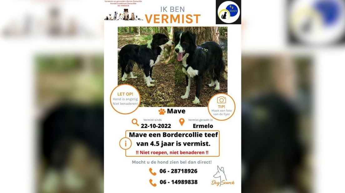 Flyer voor vermiste Mave.