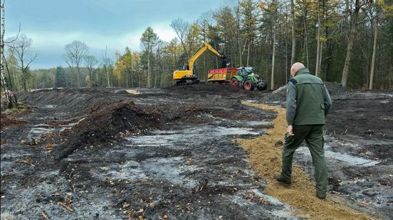 Wat doen die graafmachines op het Kootwijkerveen?