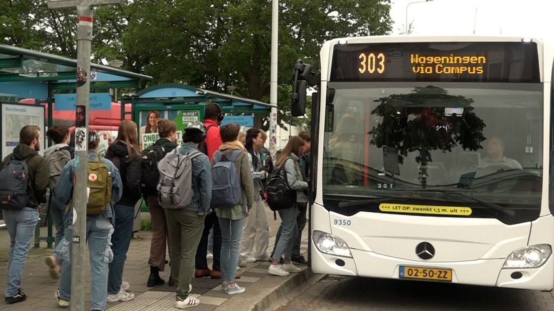 De rij voor lijn 303 is doorgaans groot.