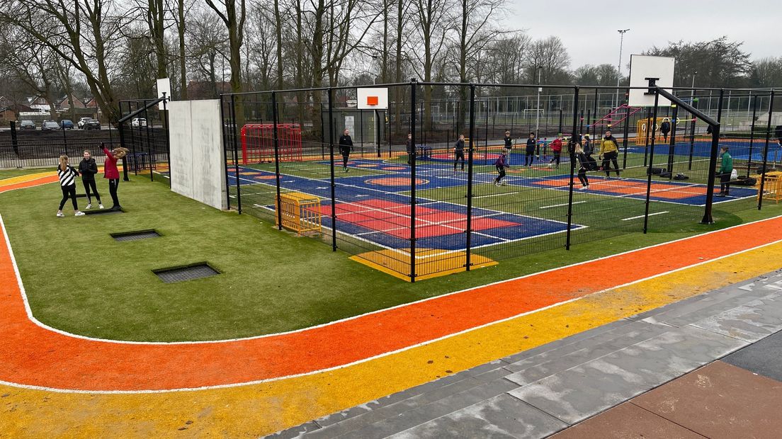 De sportvelden in de 'Skills Garden' onderscheiden zich door kleur en oppervlakte van traditionele sportvelden