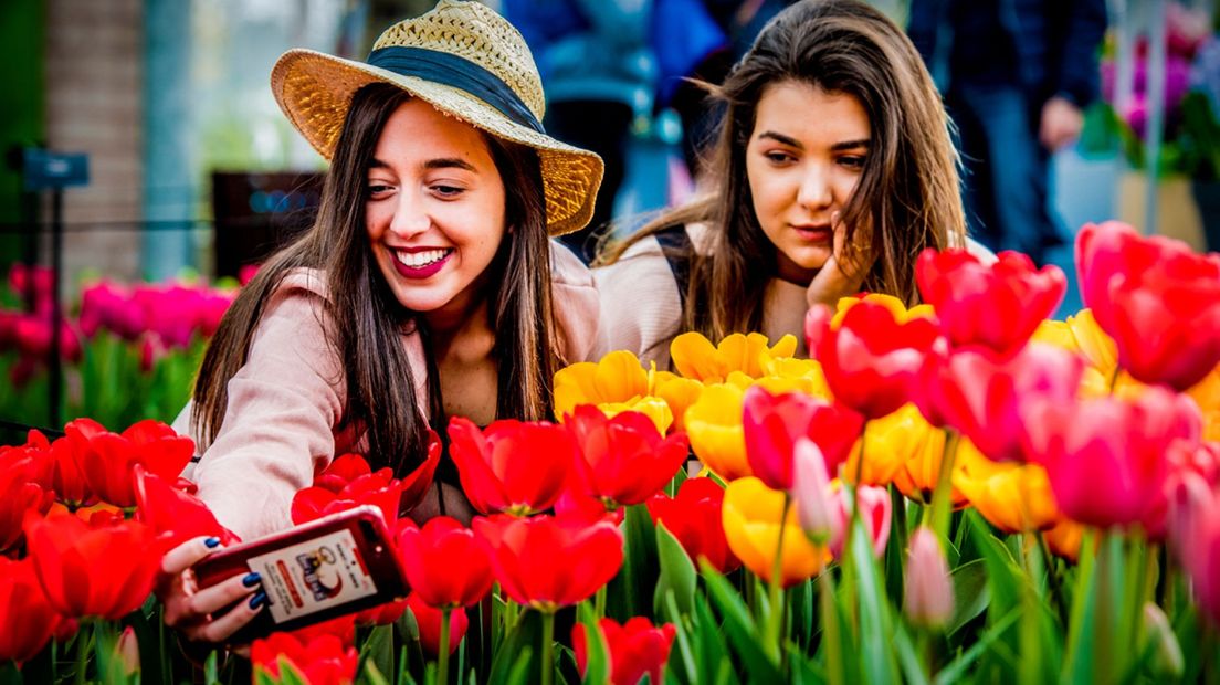Toeristen die genieten in de Keukenhof