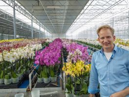 Plantenkweker Erica: 'Onze medewerkers uit Oekraïne zijn in shock'