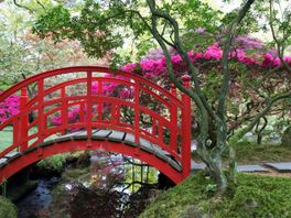 Japanse Tuin gaat eind april weer open voor publiek
