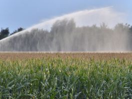 Droogteseizoen van start, waterschappen optimistisch door natte maanden