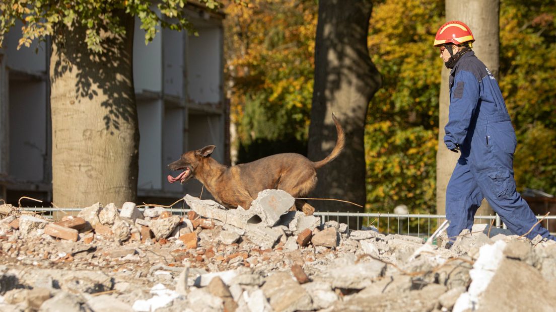 Zoekhonden kammen de slooplek uit