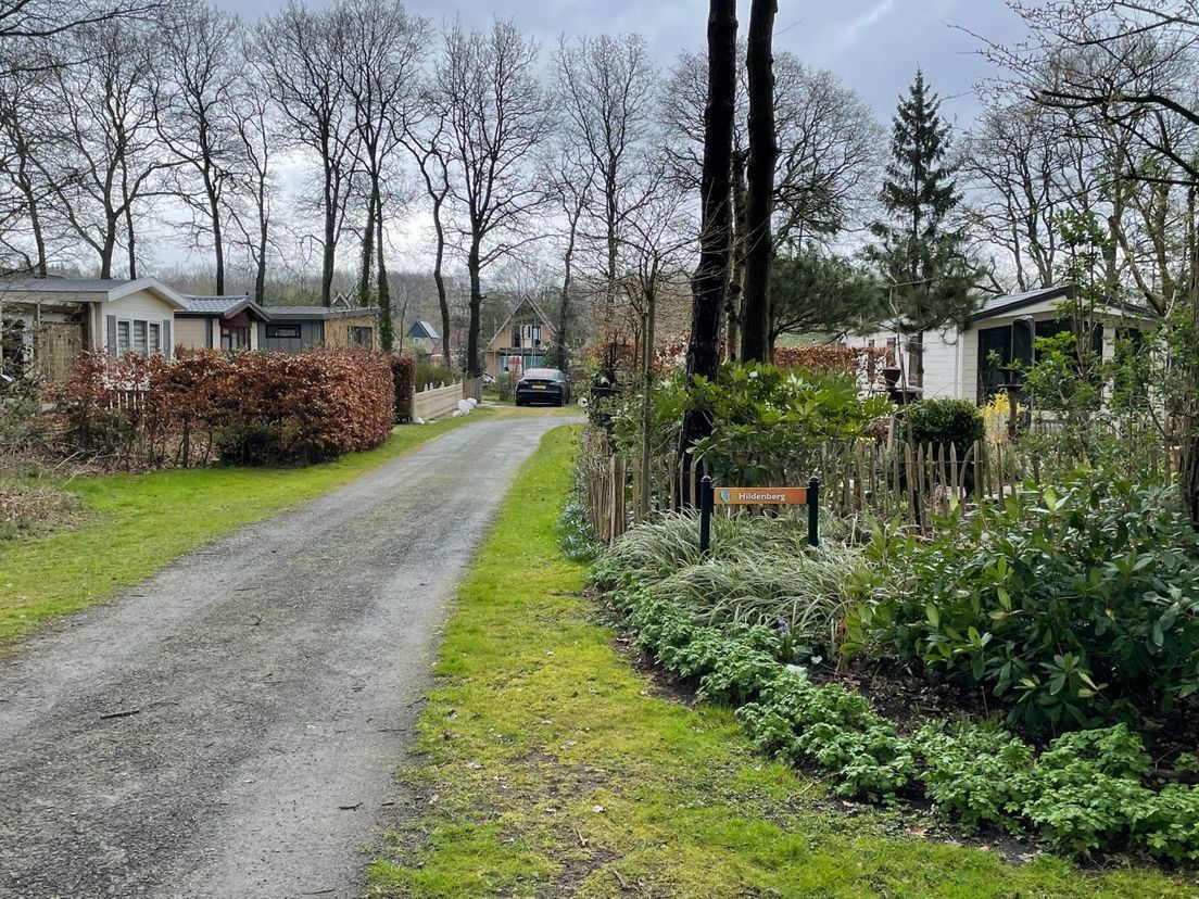De stacaravans op camping De Reeënwissel