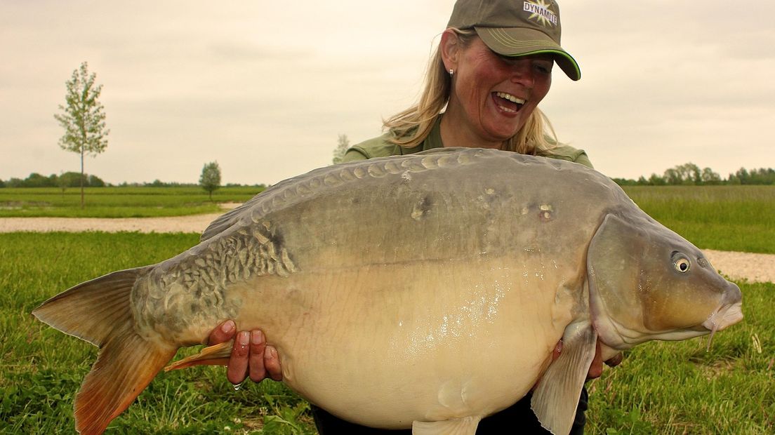 Carp Zwolle