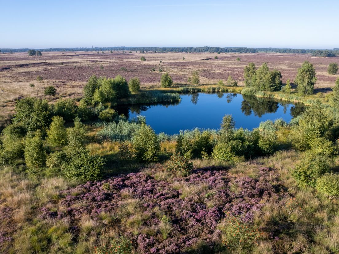 Drentsche Aa-gebied / Balloërveld