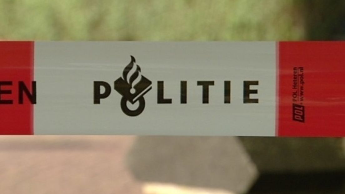 Politielint