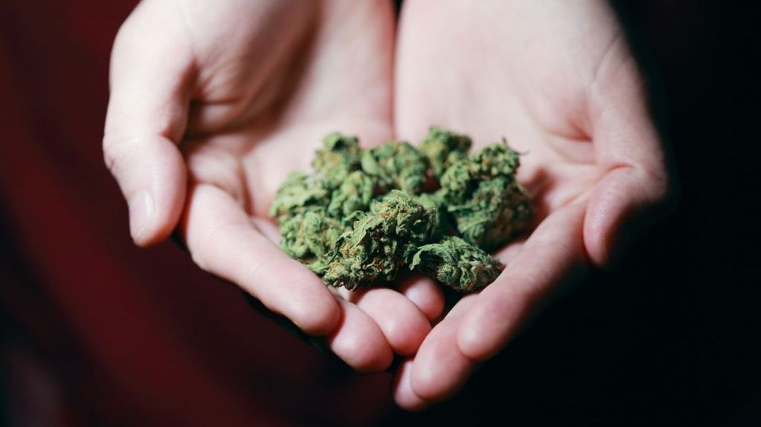 Duitsland denkt na over de legalisering van wiet.