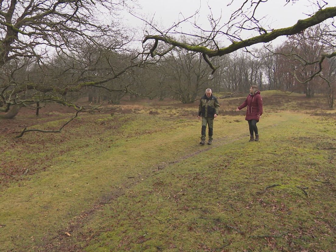 Boswachter Bertil Zoer en Loes van der Laan zijn al aan de wandeling begonnen