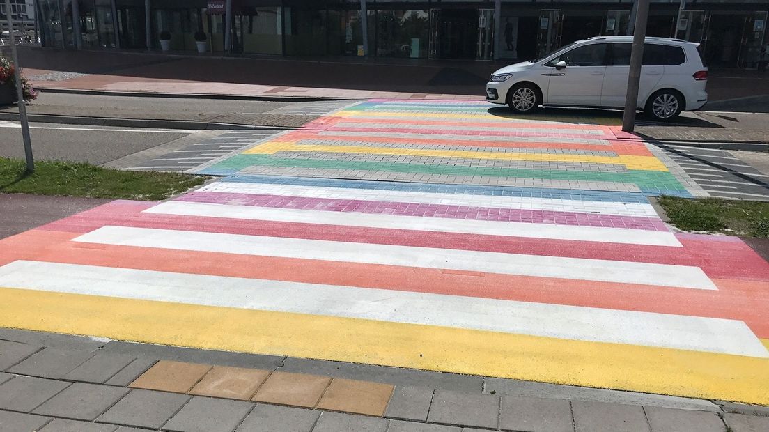'Menselijke dildo' bij opening Gaybrapad hoorde niet bij het plan
