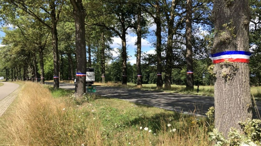 Ook de blauw-wit-rode linten om de bomen op de Misterweg in Winterswijk worden verwijderd.