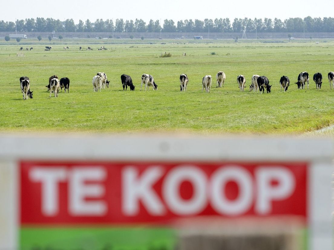 te koop