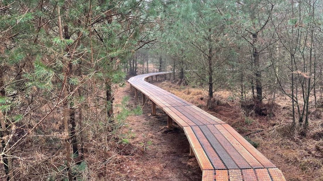 Het plankenpad