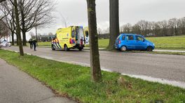 Bestuurder verliest macht over stuur en botst tegen boom