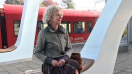 We willen piesen en poepen in de trein, maar de provincie ligt dwars