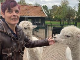 Meermaals alarm geslagen over situatie vrijwel blinde Paula: "Maar niemand ondernam actie"