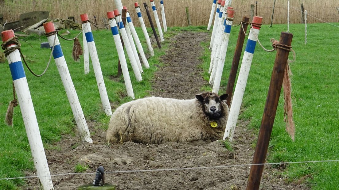 Weerfoto bij Ritthem