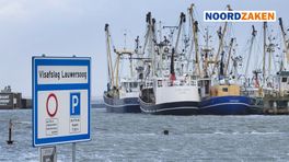 Visserijsector: ‘De visserij wordt in Nederland de nek omgedraaid’