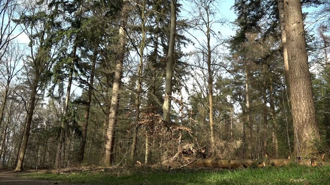 Bovenop De Kalenberg bij Barchem