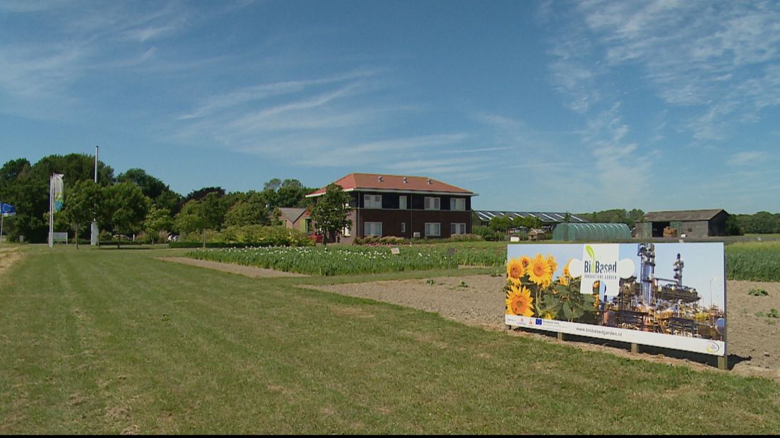 Project Growing a Green Future van start bij proefboerderij Rusthoeve