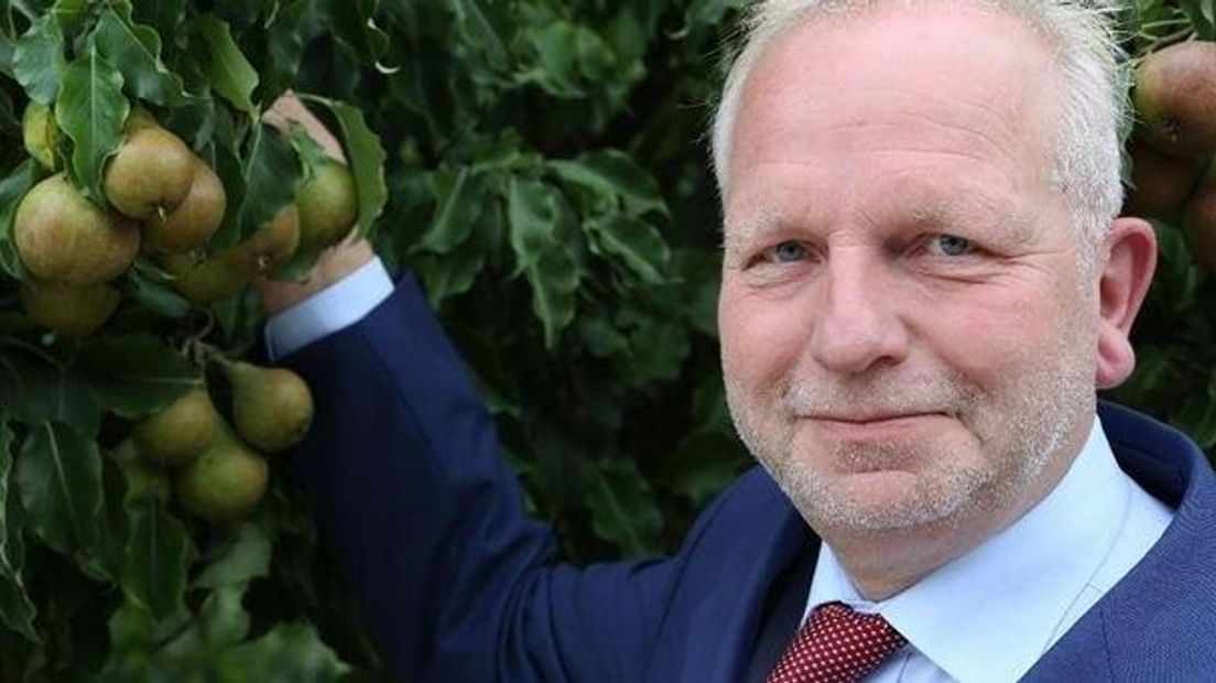 Albert Jan Maat
