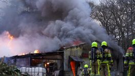 Museumpark likt wonden na brand: 'Dramatisch en pijnlijk'