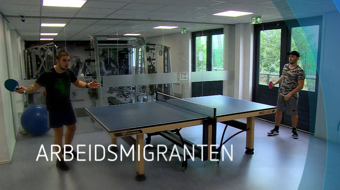 Zeeland Nu