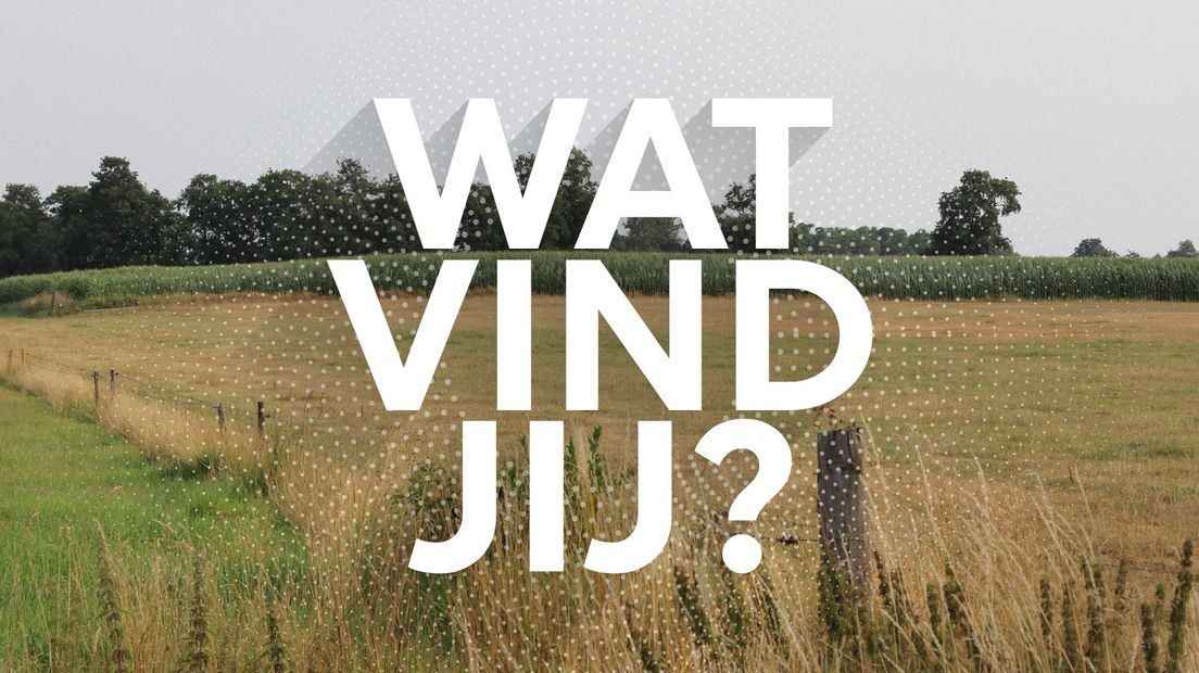 Wat vind jij?