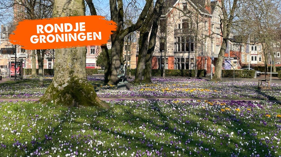 Lente op het Emmaplein in Stad