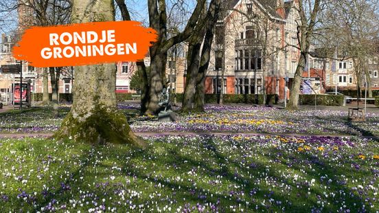 Rondje Groningen heeft het voorjaar in de kop