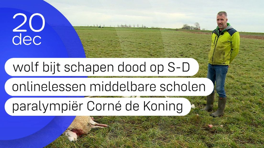 Zeeland Nu