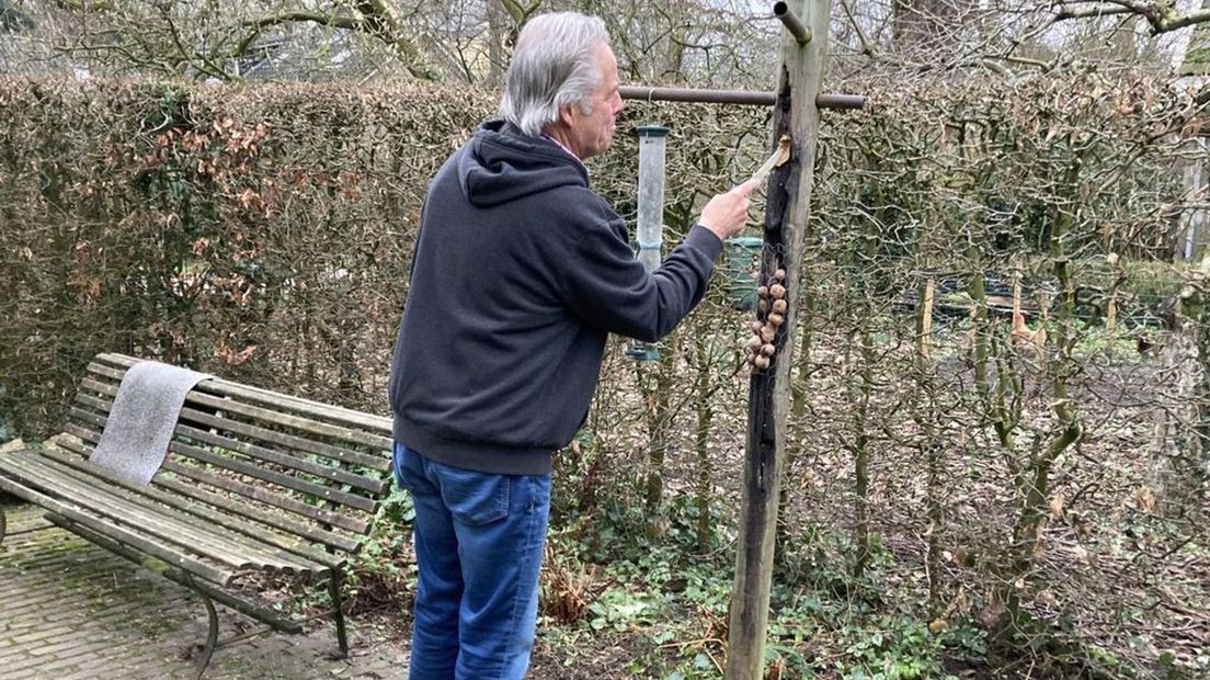 Bert Vos smeert in zijn vogelvriendelijke tuin pindakaas op een houten paal.