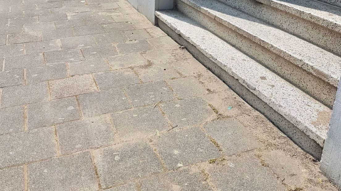 Schoongemaakte straten in de Rivierenbuurt