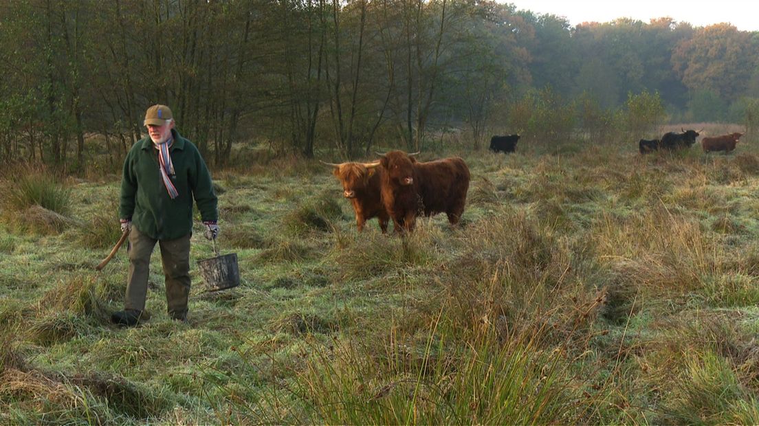 Witte Veen bij Buurse