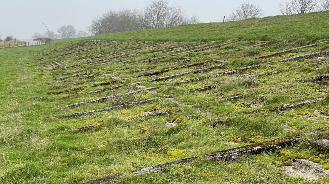 Het stuk Muraltdijk is nu nog overwoekerd met gras en mos